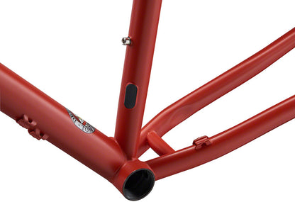 P-29er Frame - Team Edition - FM3678-03.jpg