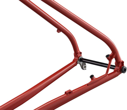 P-29er Frame - Team Edition - FM3678-04.jpg