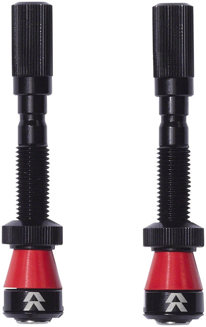 Fillmore Tubeless Valve - TU2635-01.jpg