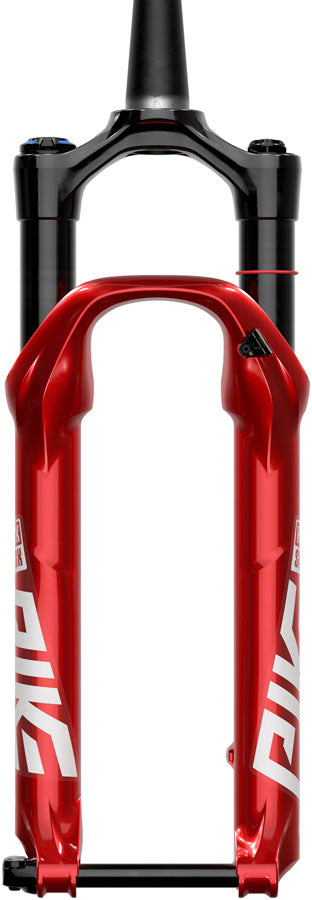 Pike DJ Suspension Fork - FK3055-01.jpg