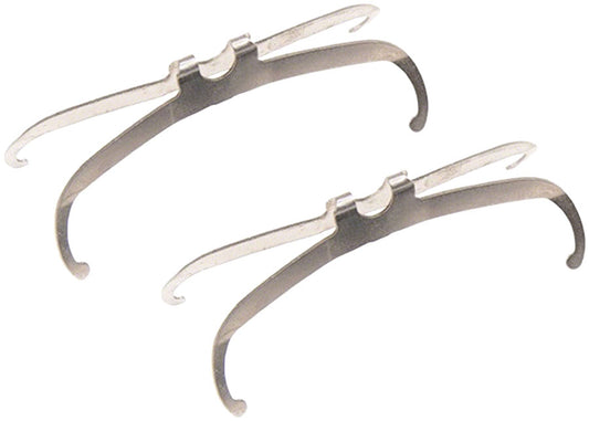 Disc Brake Pad Spreader Springs - BR2747.jpg
