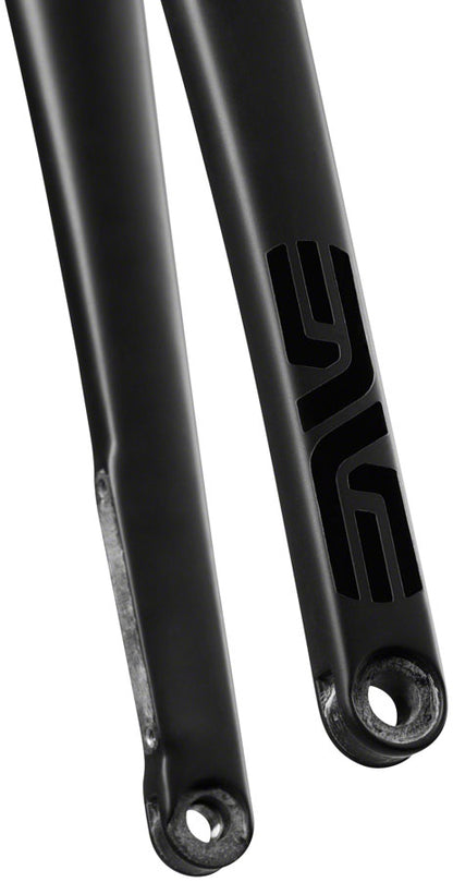 AR Disc Fork - FK0437-02.jpg