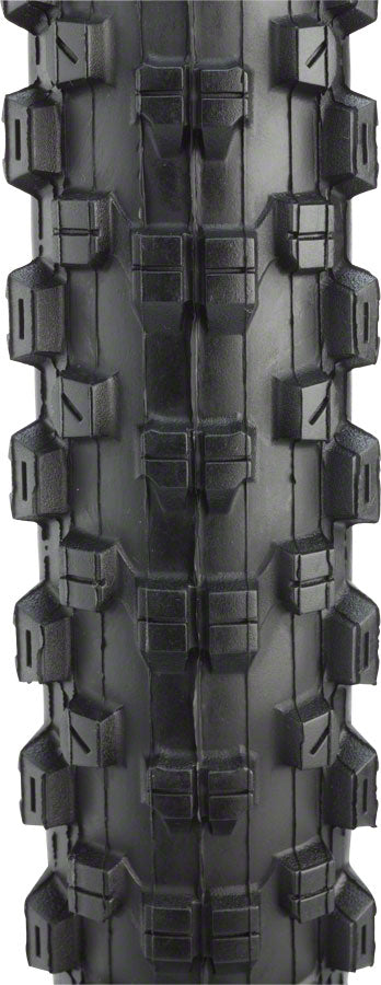 Nevegal Sport Tire - TR5532-01.jpg