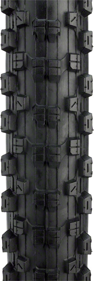 Nevegal Sport Tire - TR5535-01.jpg