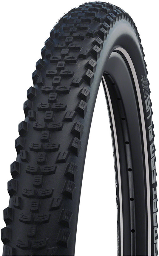 Smart Sam Plus Tire - TR6166.jpg