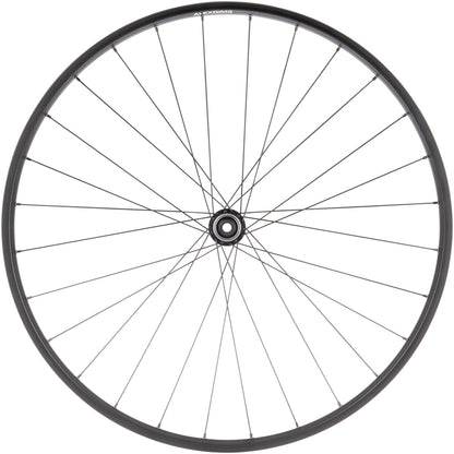 Value Double Wall Series Rim+Disc Front Wheel - WE2957-02.jpg