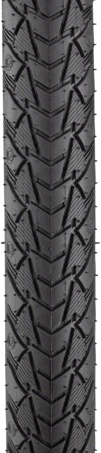 Contact Plus Tire - TR9069-01.jpg