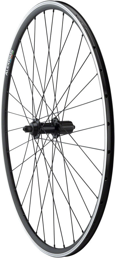Tiagra / DA22 Rear Wheel - WE9339.jpg