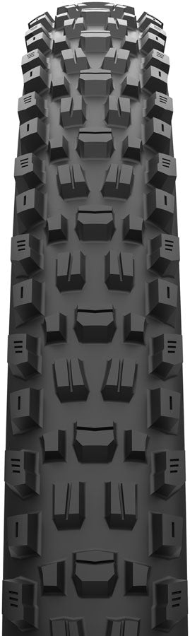 Assegai Tire - TR00360-01.jpg