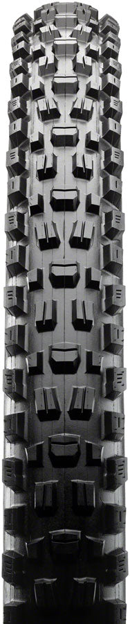 Assegai Tire - TR1341-01.jpg
