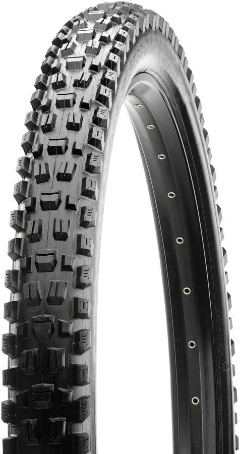 Assegai Tire - TR1342.jpg