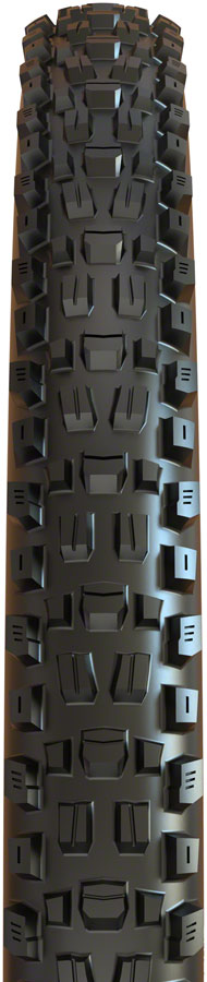 Assegai Tire - TR4199-01.jpg