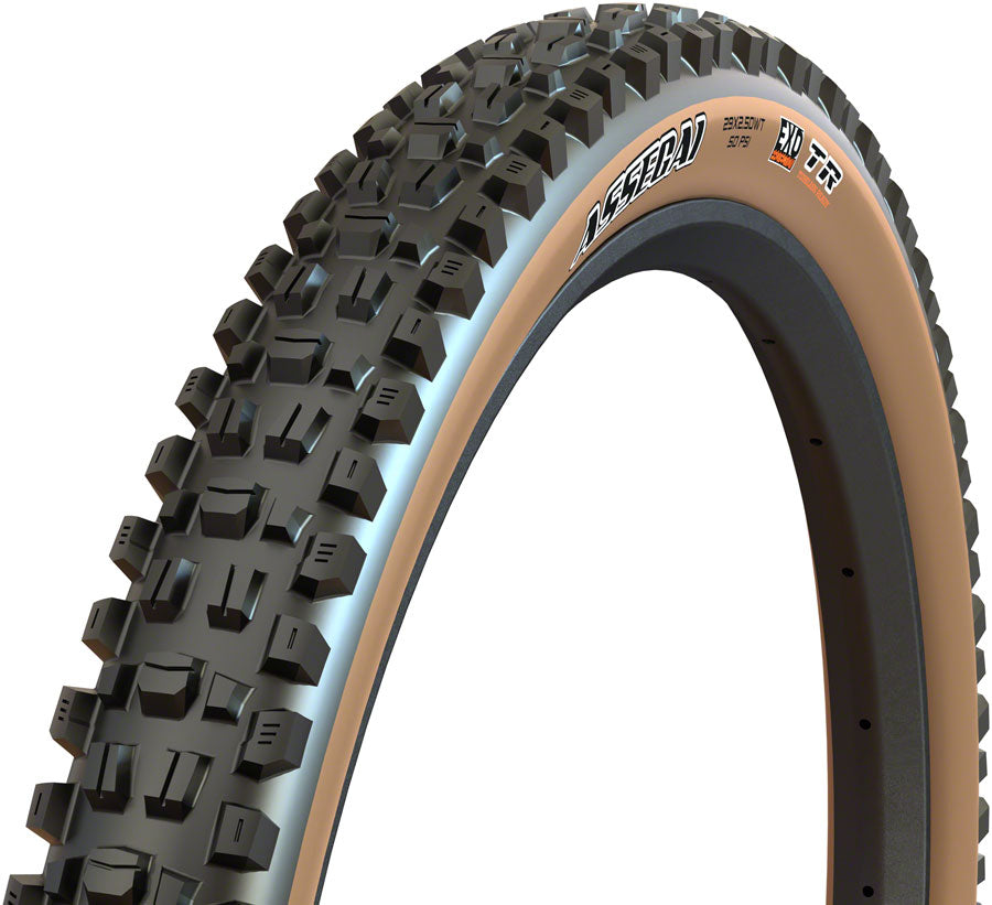 Assegai Tire - TR4199.jpg