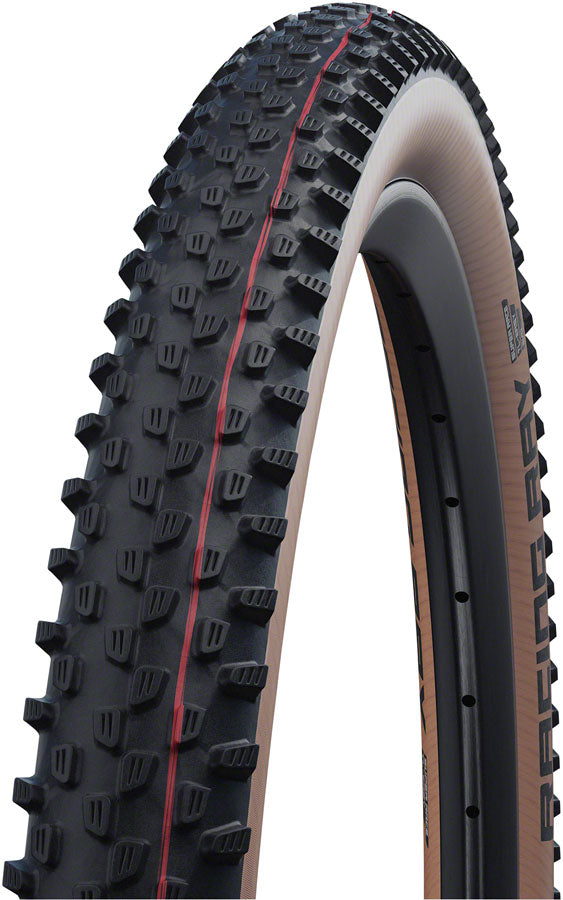 Racing Ray Tire - TR0884.jpg
