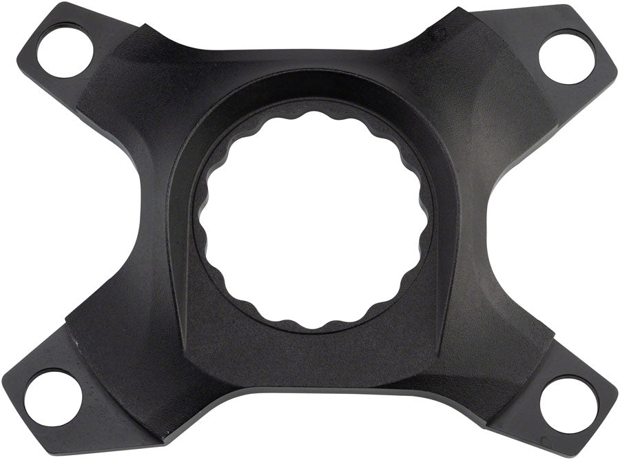 Spider - CK0538.jpg