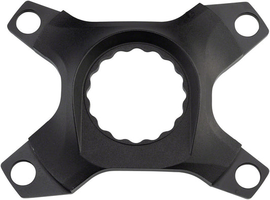 Spider - CK0538.jpg
