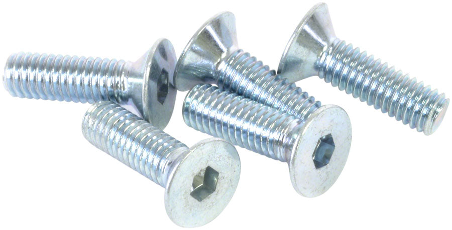 Flat Head Screw - BO4010.jpg