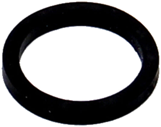 Caliper Pistons & Piston Seals - BR3880.jpg
