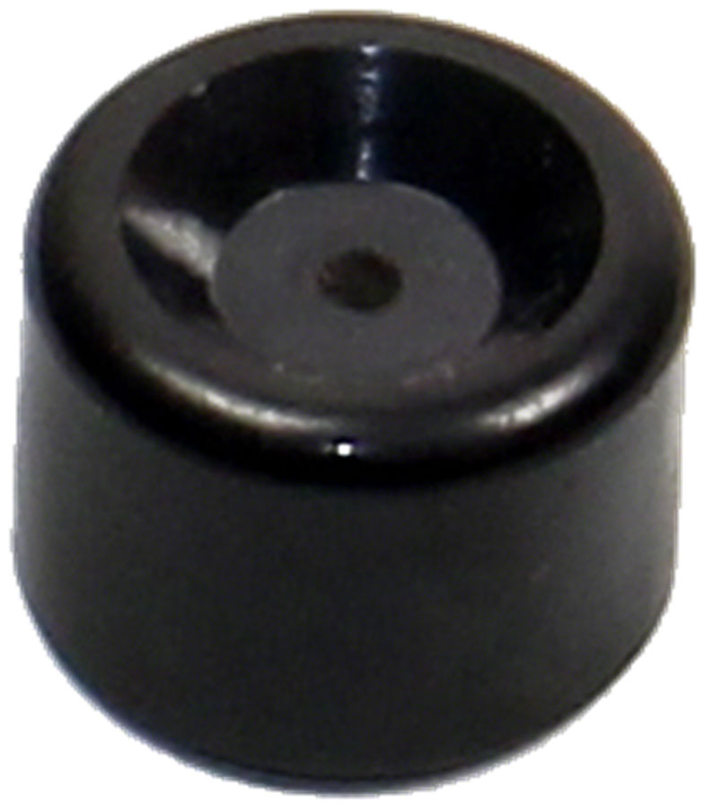 Caliper Pistons & Piston Seals - BR3881.jpg