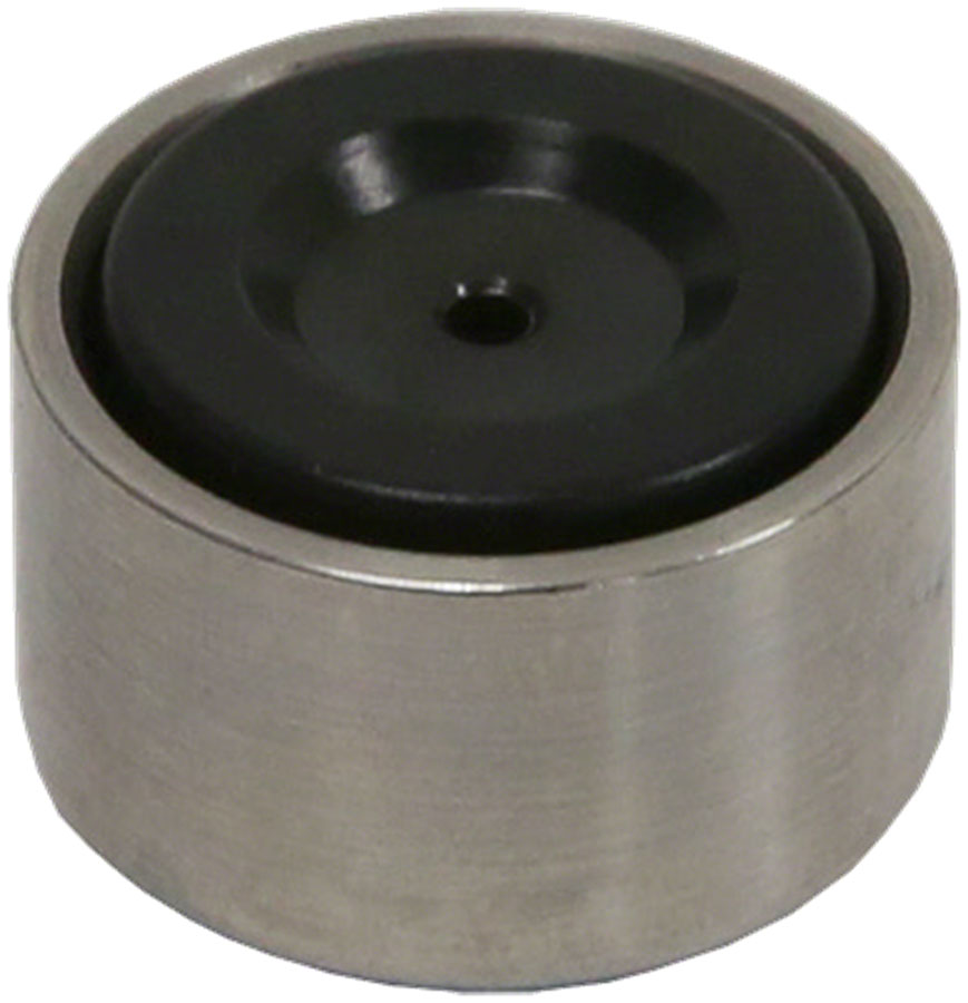 Caliper Pistons & Piston Seals - BR3885.jpg