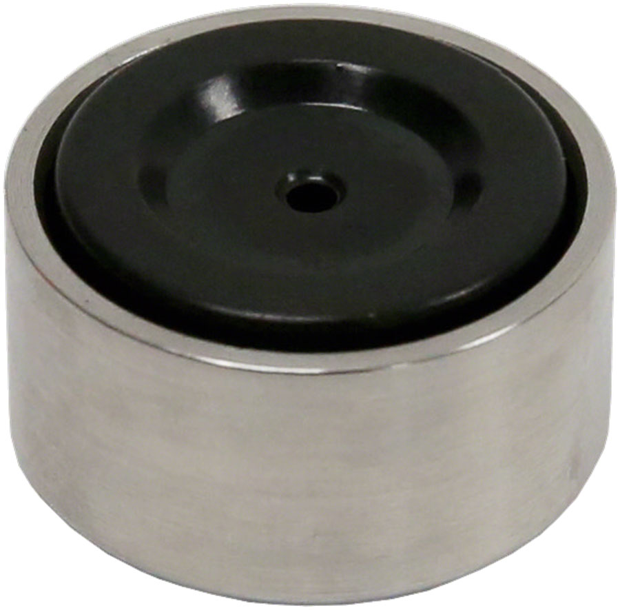 Caliper Pistons & Piston Seals - BR3886.jpg