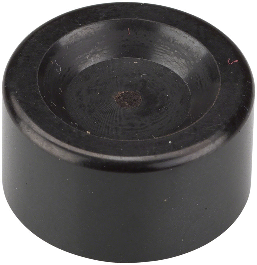 Caliper Pistons & Piston Seals - BR6635.jpg