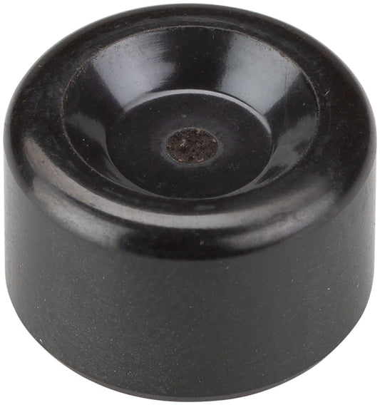 Caliper Pistons & Piston Seals - BR6638.jpg