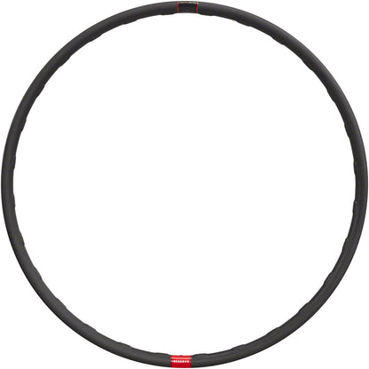 Carbon Rims - RM0232-01.jpg