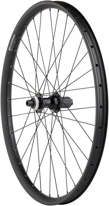 Alex EM30 Disc Rear Wheel - WE1213.jpg