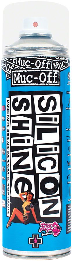 Silicon Shine - LU0959.jpg
