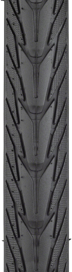 Energizer Plus Tire - TR0291-01.jpg