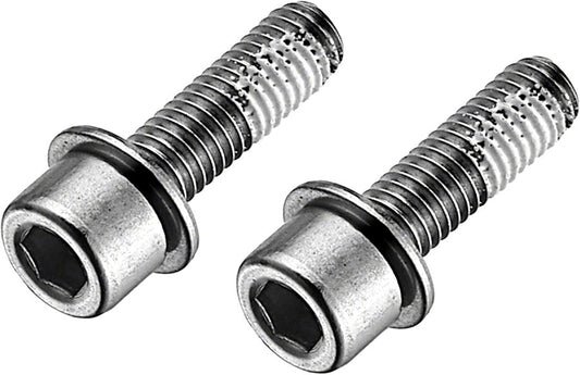 Stainless Flat Mount Disc Brake Caliper Bolts - BR8163.jpg