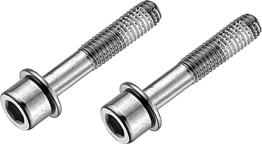 Stainless Flat Mount Disc Brake Caliper Bolts - BR8165.jpg