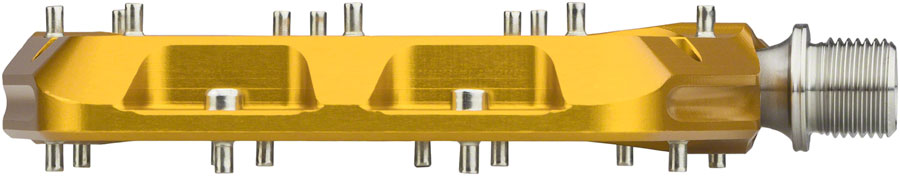 Waveform Pedals - PD0493-02.jpg