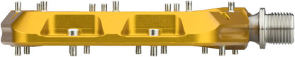 Waveform Pedals - PD0493-02.jpg