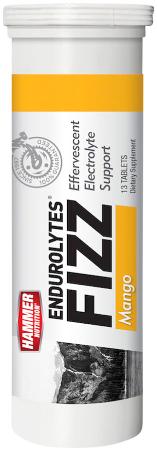Endurolytes Fizz - EB4002.jpg