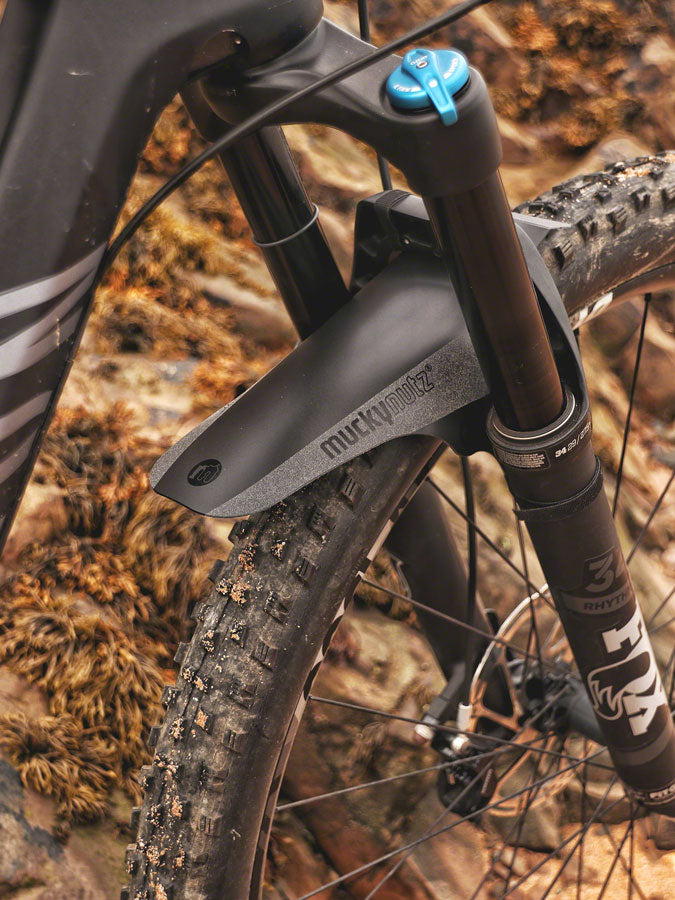 Face Fender - FE0077-01.jpg