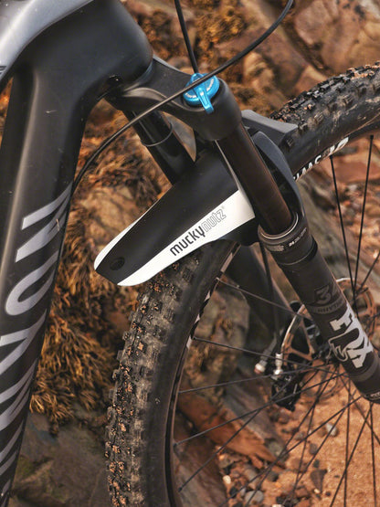 Face Fender - FE0078-01.jpg