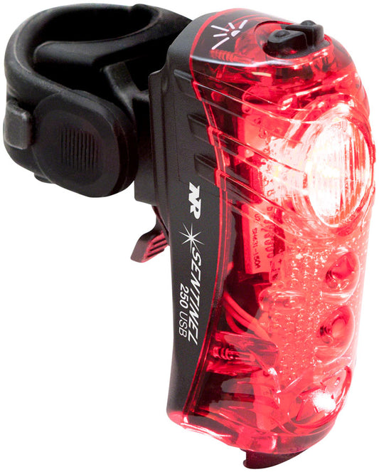Sentinel 250 Taillight - LT9487.jpg