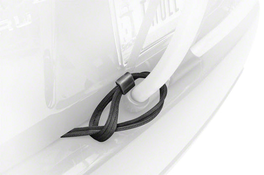 Passive Lock Strap - AR2730.jpg